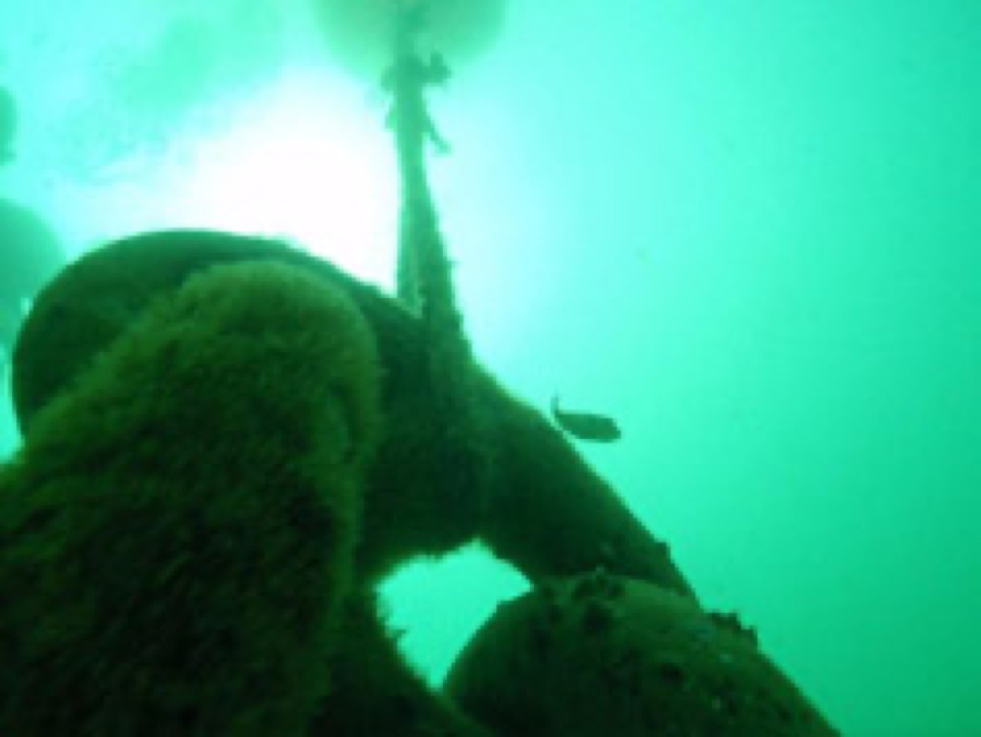Inspection des apparaux maritimes — ETSM Nouvelle-Calédonie 13