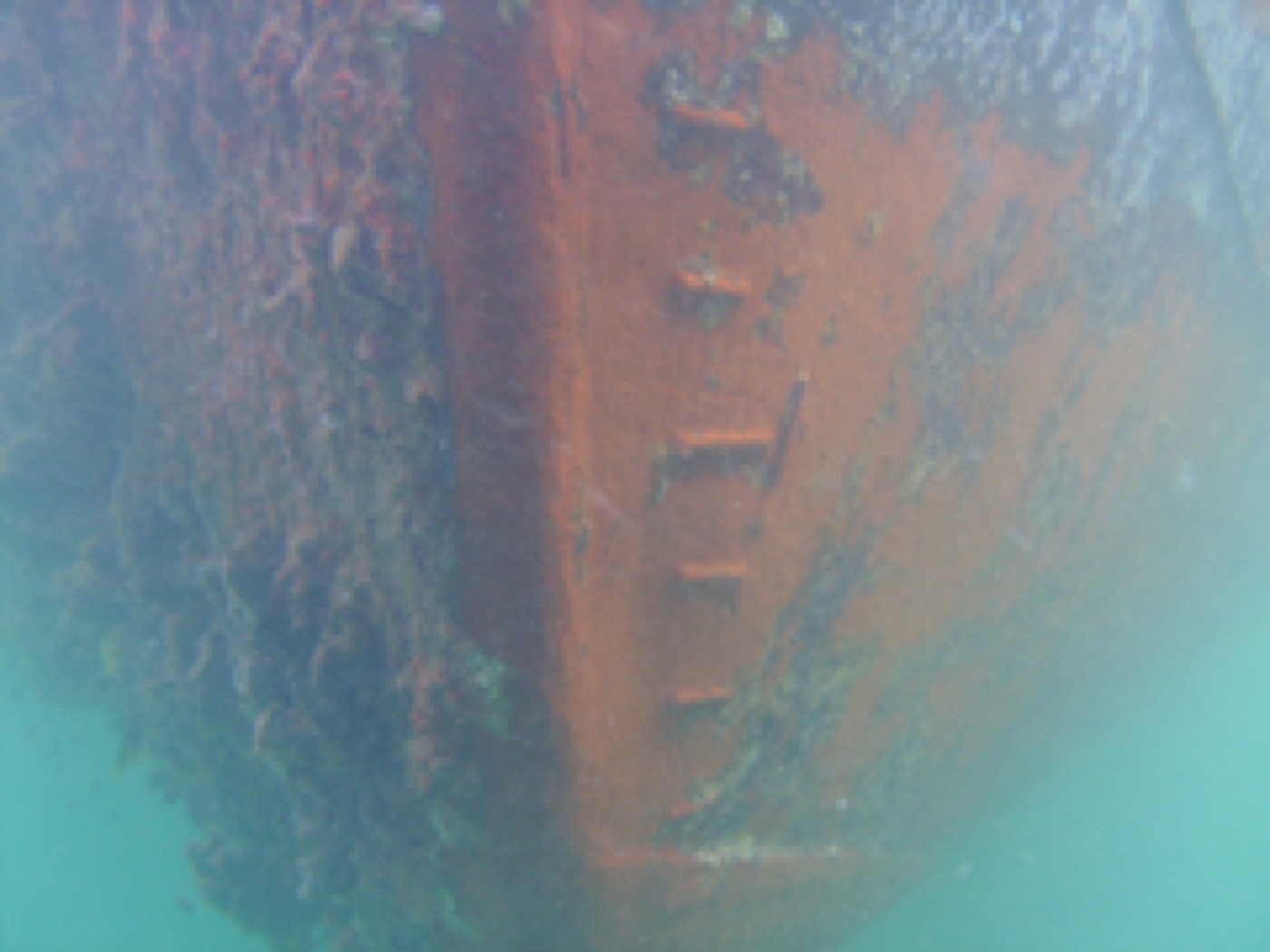 Nettoyage & carénage en mer — ETSM Nouvelle-Calédonie 1