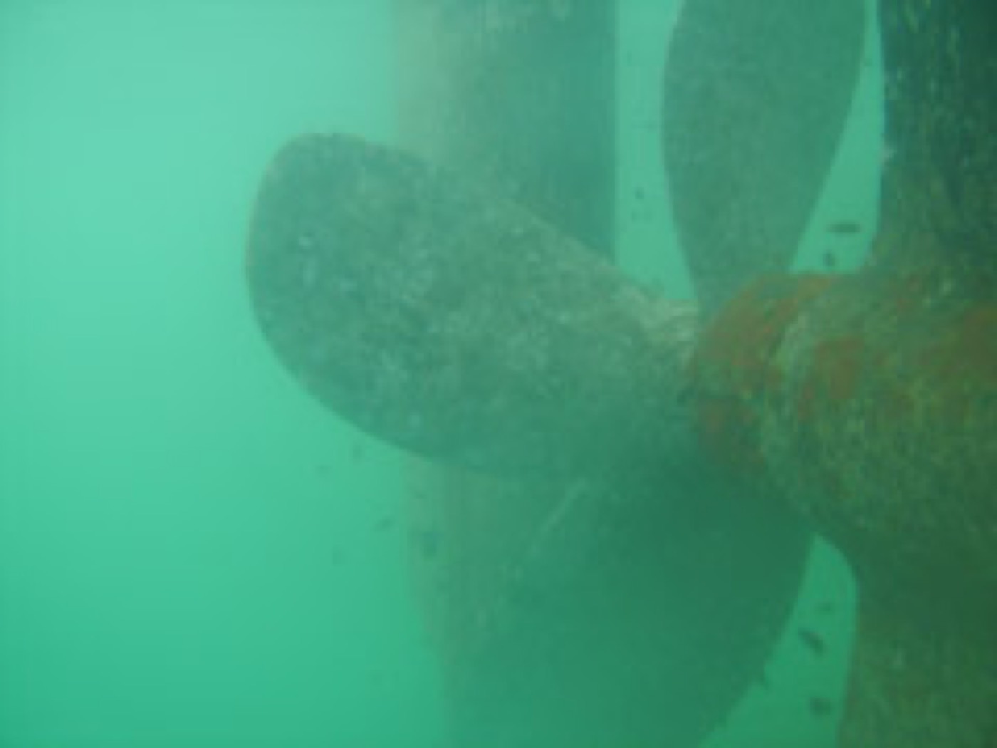 Nettoyage & carénage en mer — ETSM Nouvelle-Calédonie 7