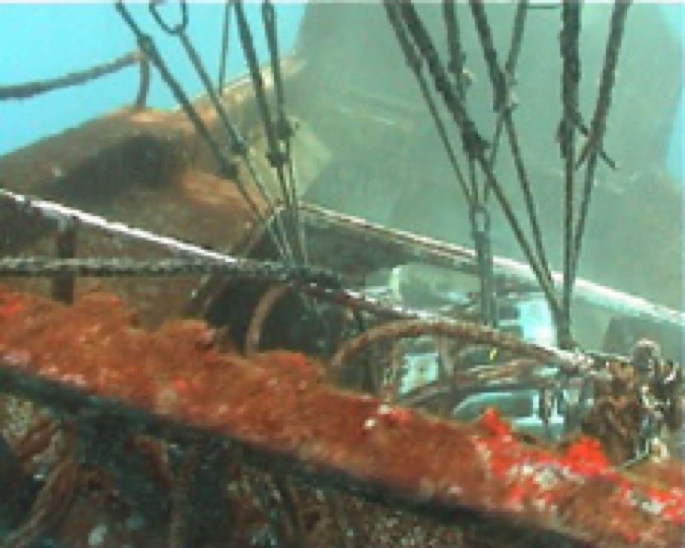 Levage en mer — ETSM Nouvelle-Calédonie 12