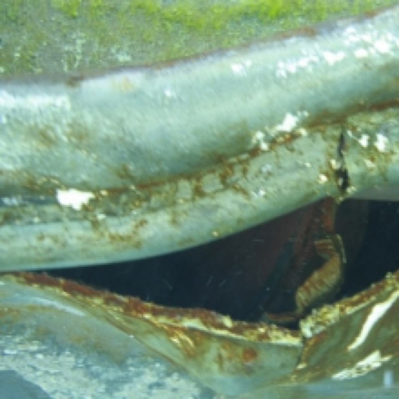 Barge CAPRICORNE et son Remorqueur sur le Récif — ETSM Nouvelle-Calédonie 1