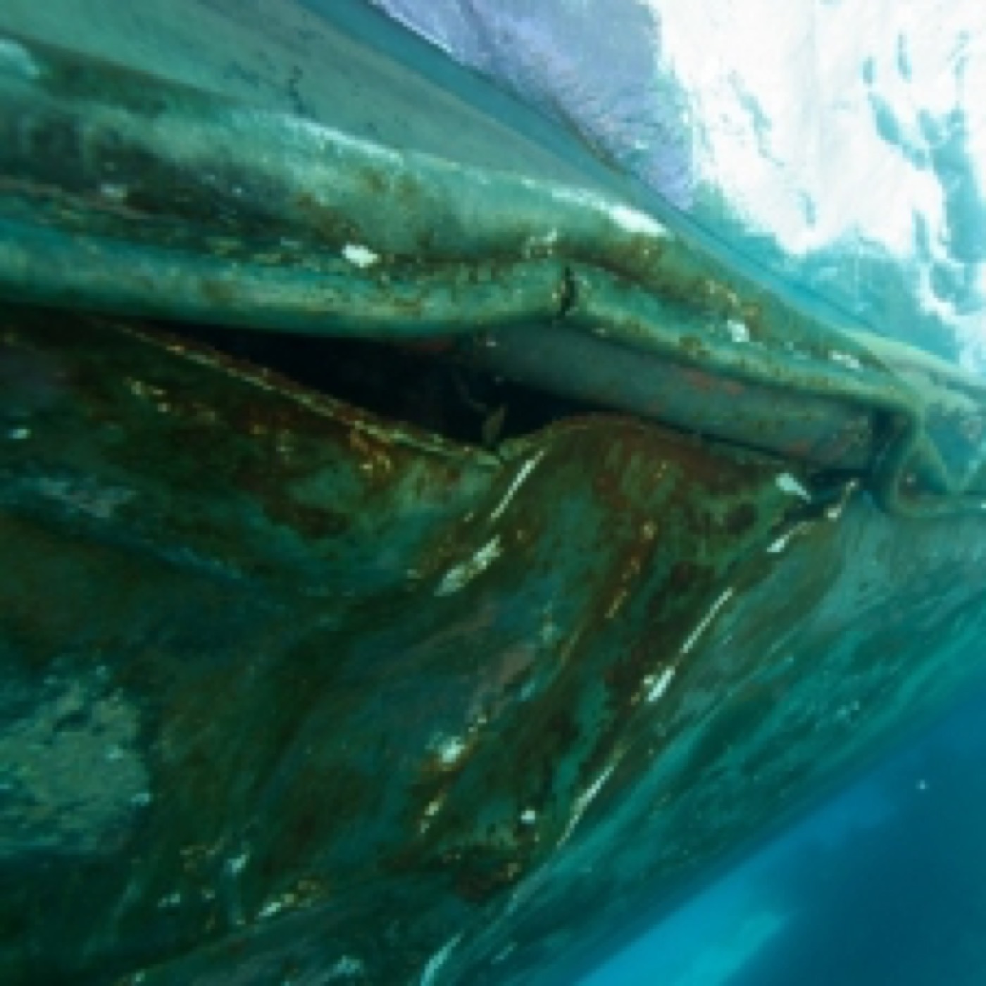 Barge CAPRICORNE et son Remorqueur sur le Récif — ETSM Nouvelle-Calédonie 5