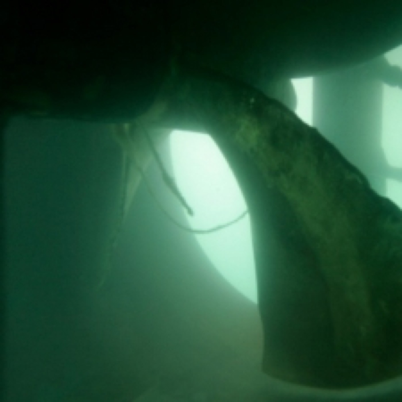 Barge CAPRICORNE et son Remorqueur sur le Récif — ETSM Nouvelle-Calédonie 8