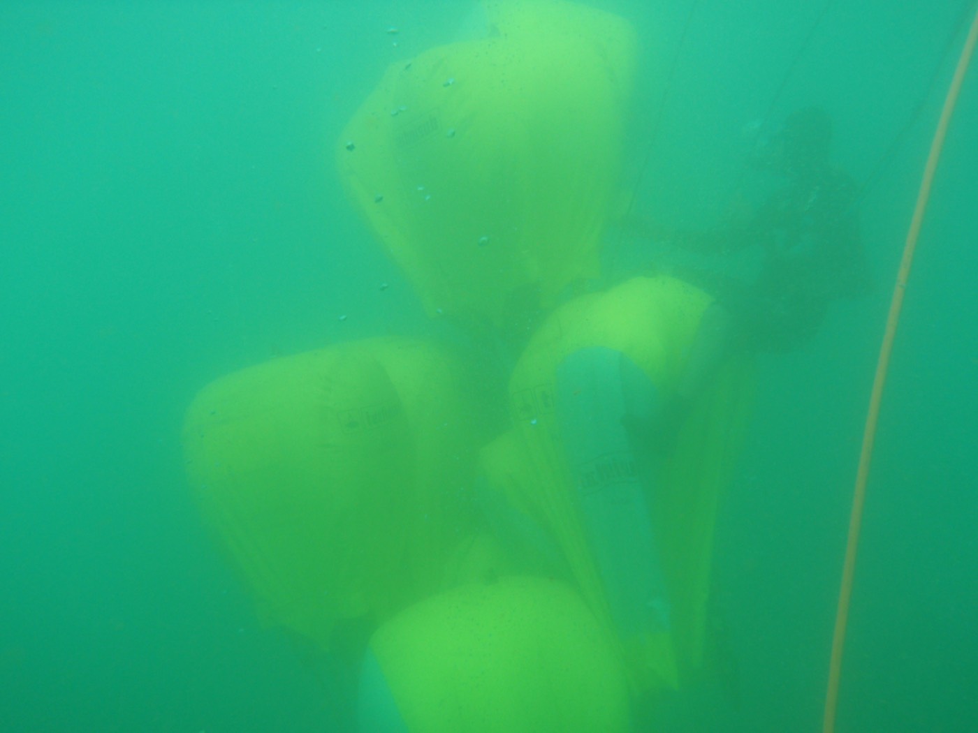 Recherche CRAPAUD de minéralier à PORO — ETSM Nouvelle-Calédonie 9