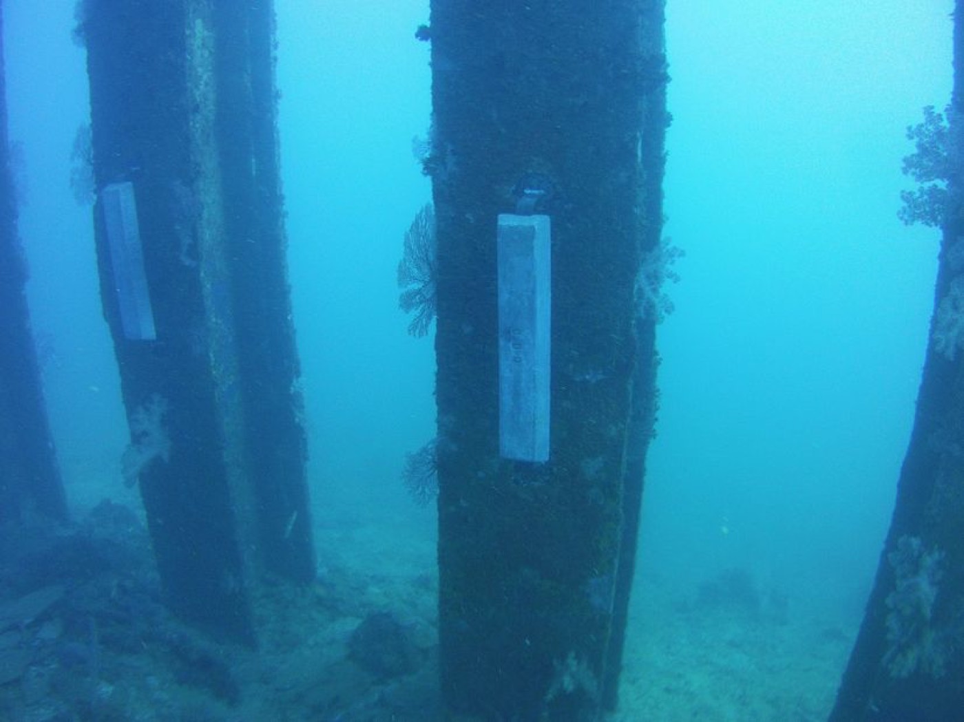 Soudure & découpage sous-marins — ETSM Nouvelle-Calédonie 10